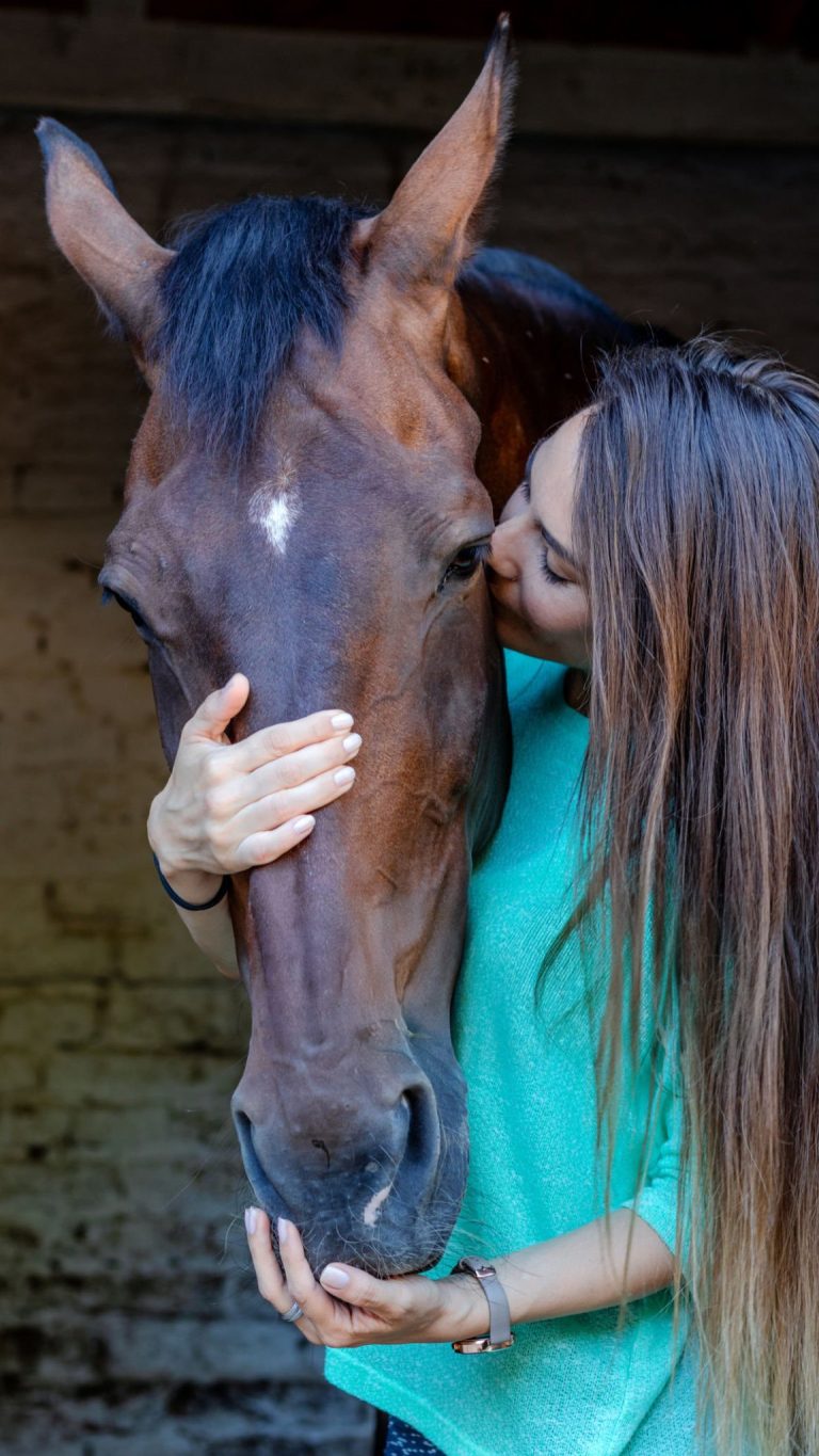 Une belle jeune fille brune s'occupe de son cheval dans l'écurie. Elle nourrit l'étalon avec un peu d'amour.