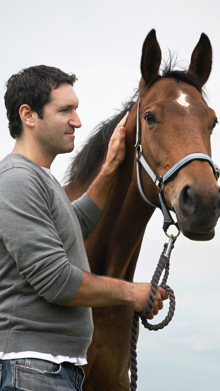Vue latérale d'un homme avec un cheval sur fond de ciel
