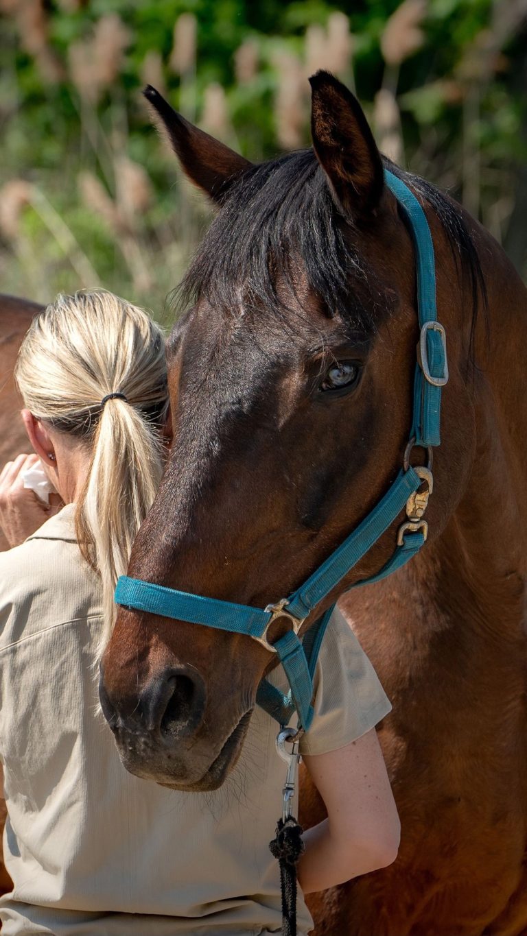 Stéphanie Bachar avec son cheval